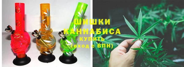 сатива Балахна