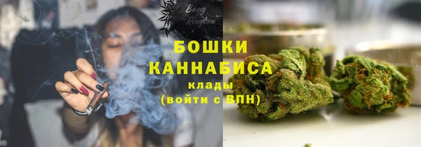сатива Балахна