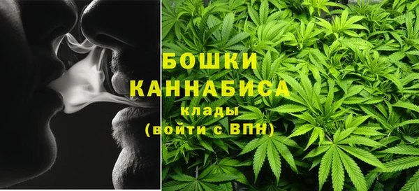 сатива Балахна