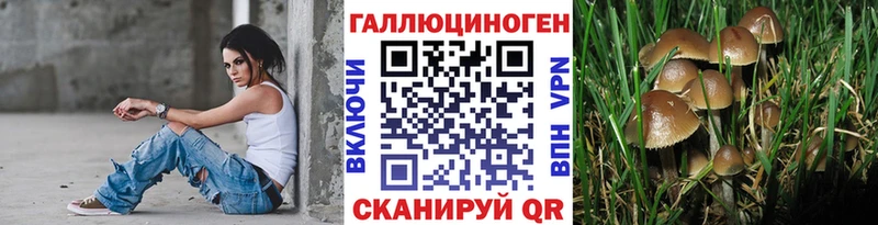 Псилоцибиновые грибы Psilocybe Хасавюрт